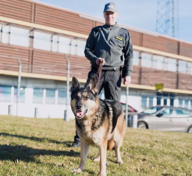 Säkerhetsföretag  så väljer du rätt skydd för företag och fastighet